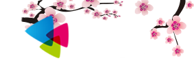 星梦小说